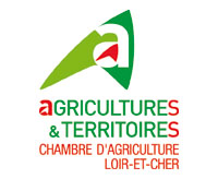 top logo